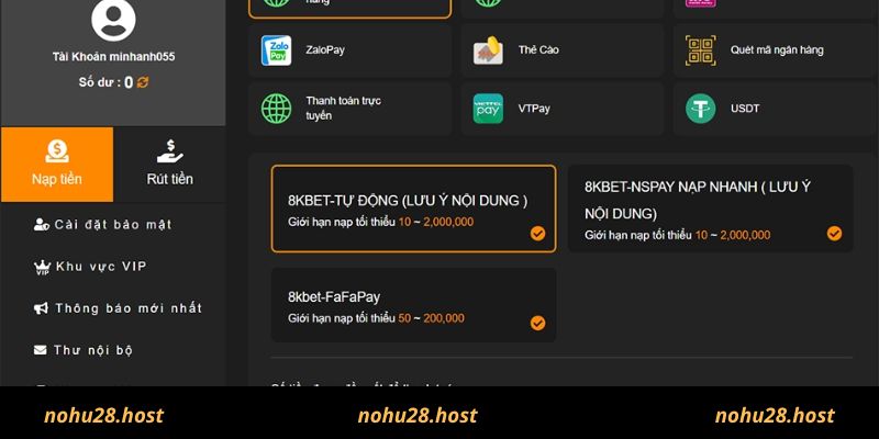 Hướng dẫn nạp tiền NOHU qua ví điện tử